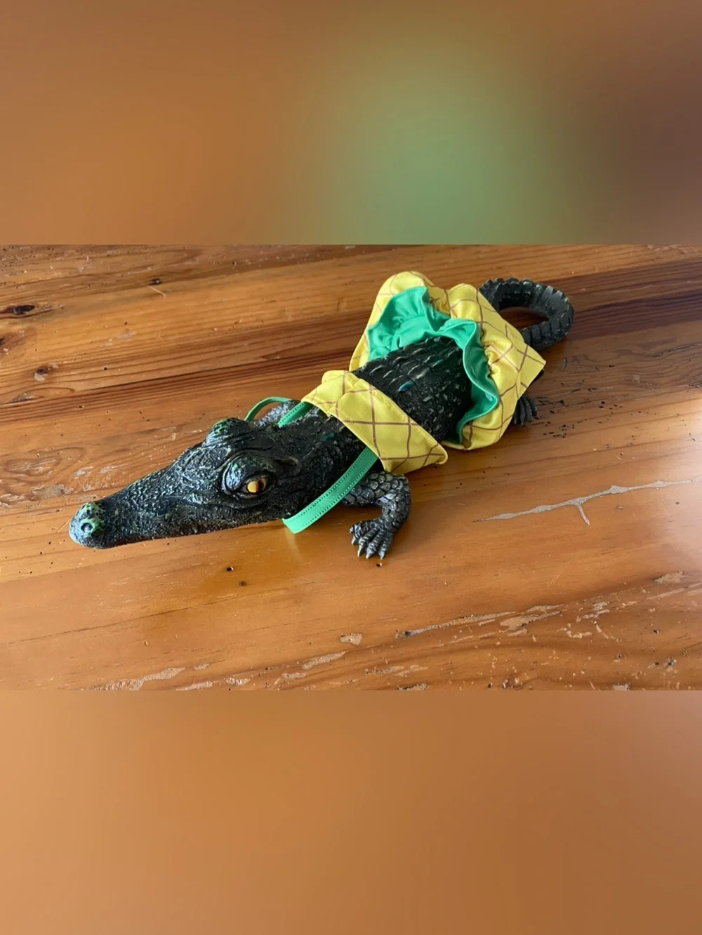 Pineapple bikini for dog. Size xs